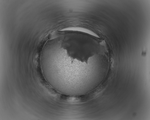 X0000116490319200912231157