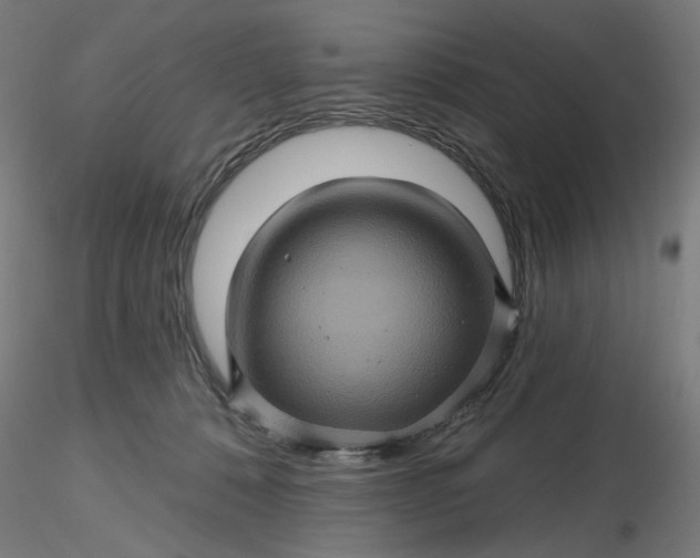 X0000116490320200912231157