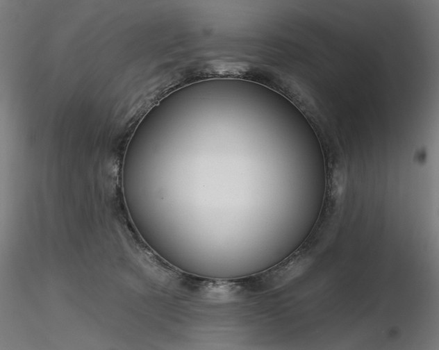 X0000116490321200912231157