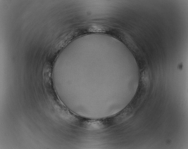 X0000116490322200912231157