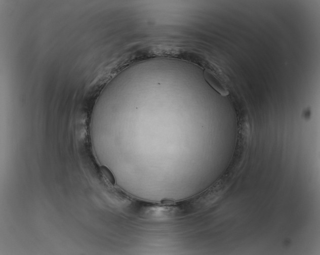 X0000116490323200912231157