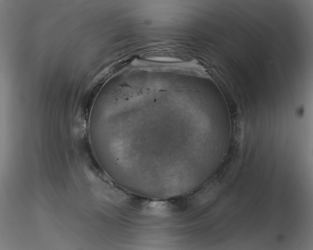 X0000116490324200912231157