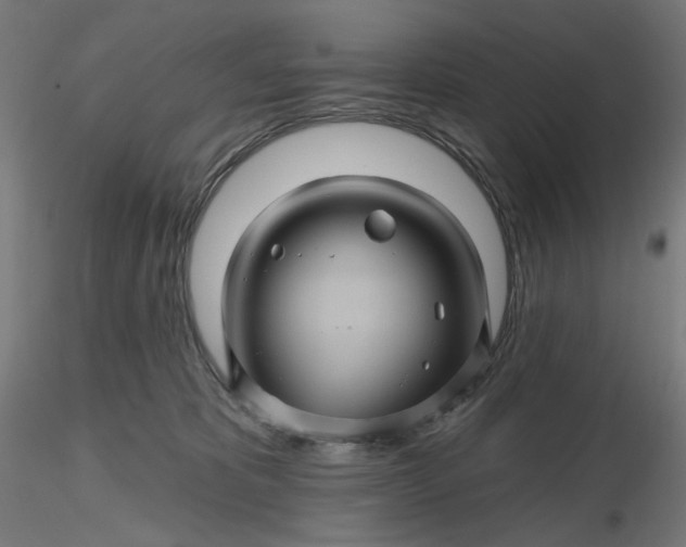 X0000116490325200912231157