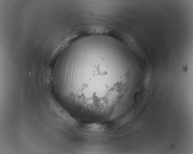 X0000116490326200912231157