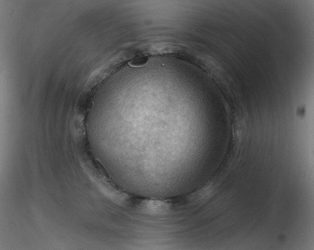 X0000116490327200912231157