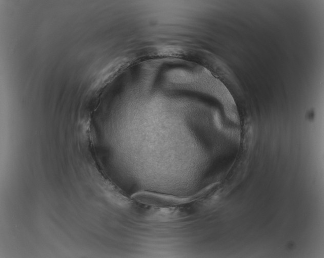 X0000116490329200912231157