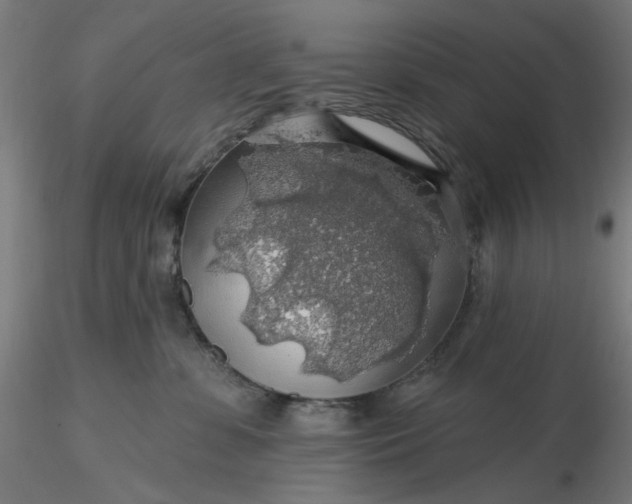 X0000116490331200912231157