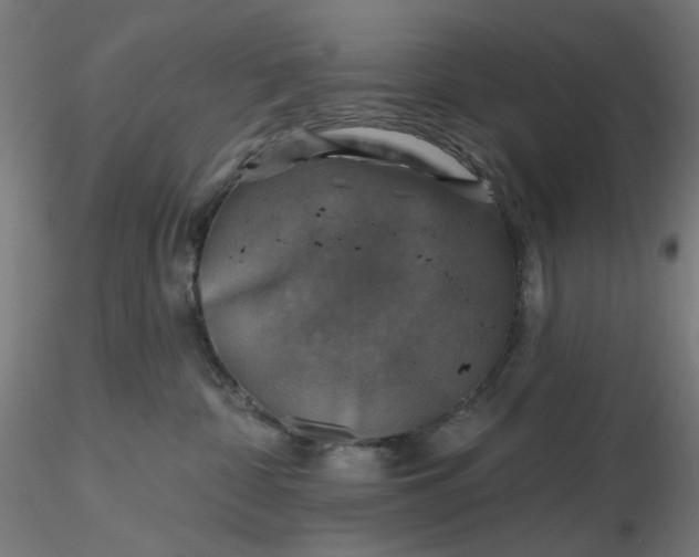 X0000116490332200912231157