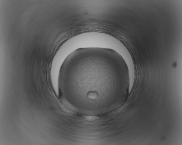 X0000116490333200912231157