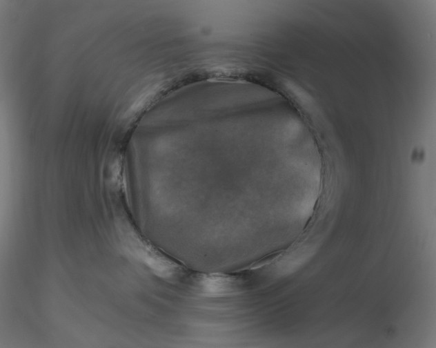 X0000116490336200912231156