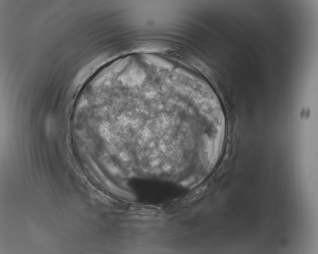 X0000116490337200912231156