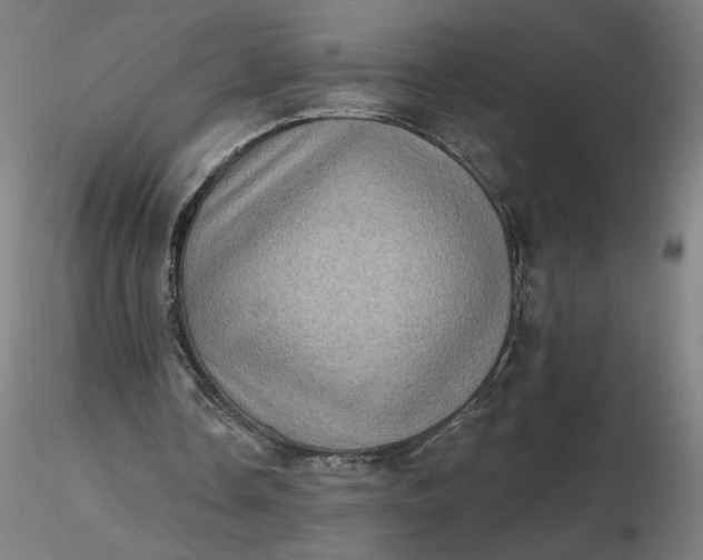 X0000116490338200912231156