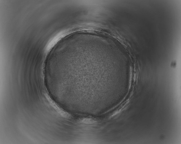 X0000116490341200912231156