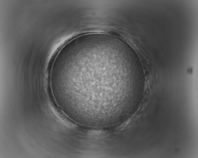 X0000116490342200912231156