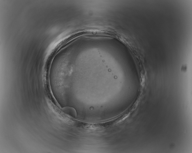 X0000116490343200912231156