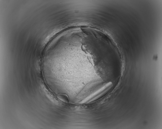 X0000116490345200912231156