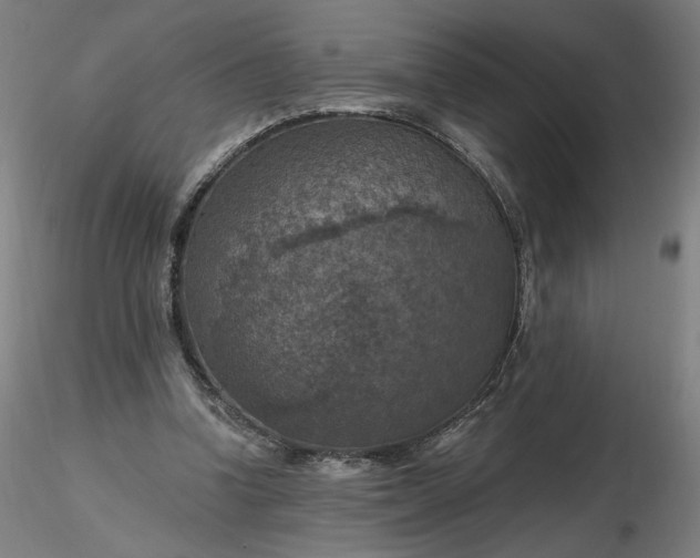 X0000116490346200912231156