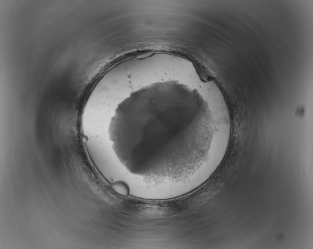 X0000116490347200912231156