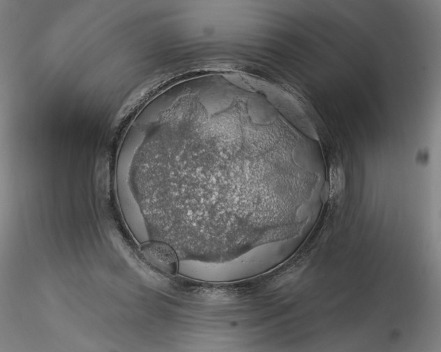 X0000116490349200912231156