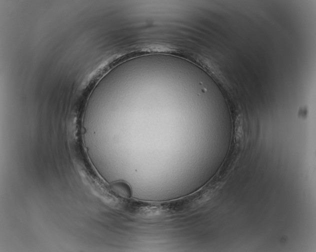 X0000116490351200912231156