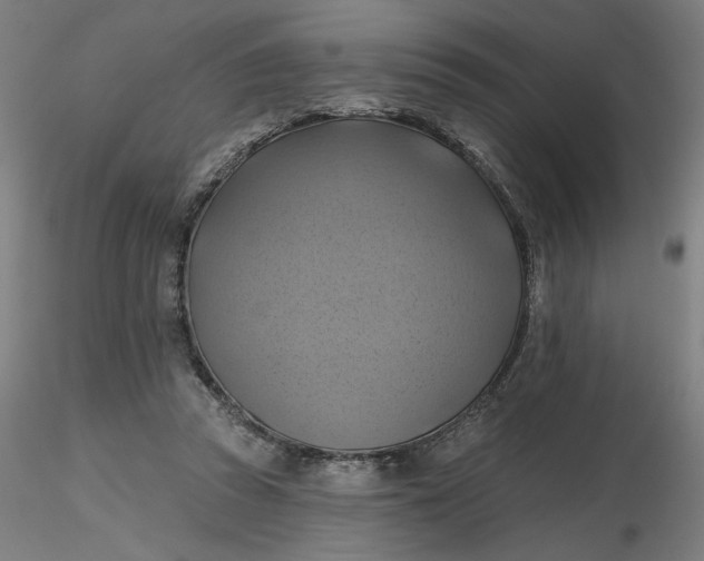 X0000116490353200912231156