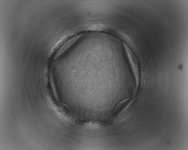 X0000116490354200912231156