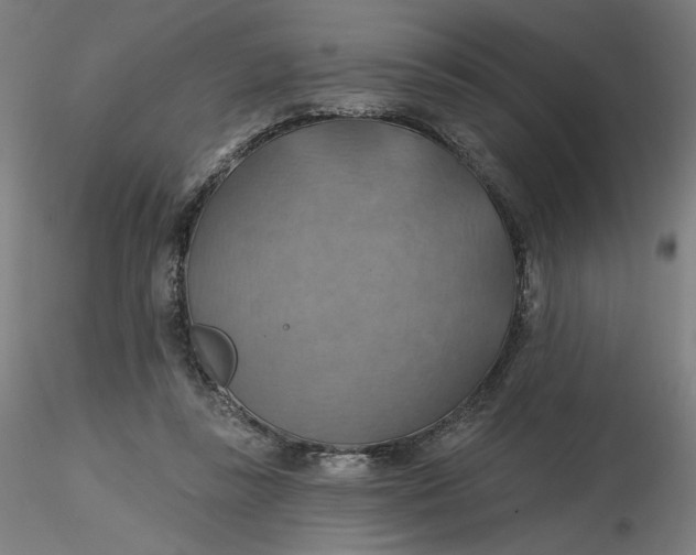 X0000116490355200912231156