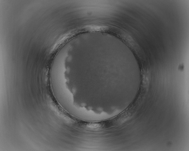 X0000116490357200912231156