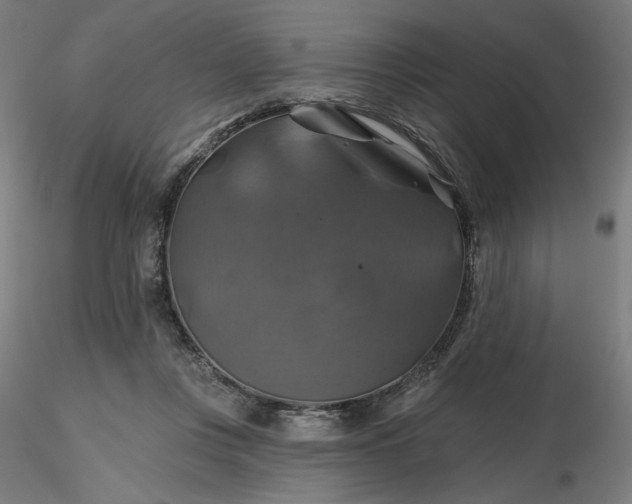 X0000116490359200912231156