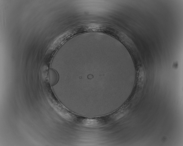 X0000116490361200912231156