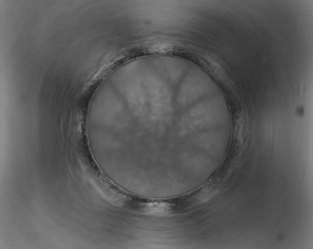 X0000116490363200912231156