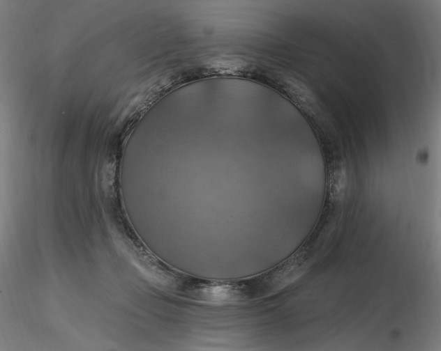 X0000116490365200912231156