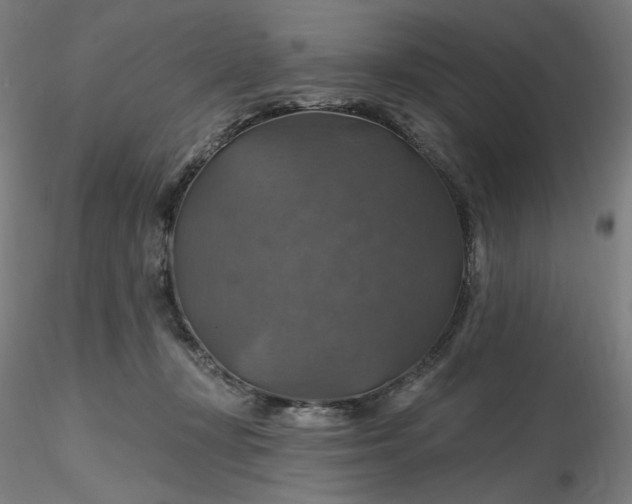 X0000116490367200912231156