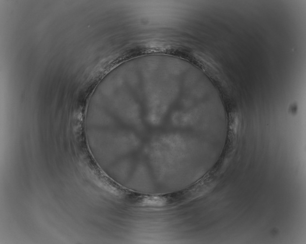 X0000116490369200912231156