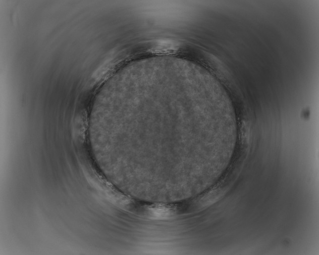 X0000116490370200912231156