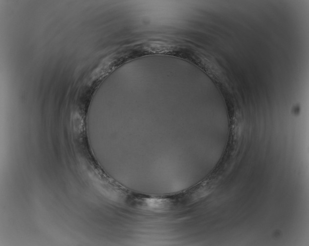 X0000116490371200912231156