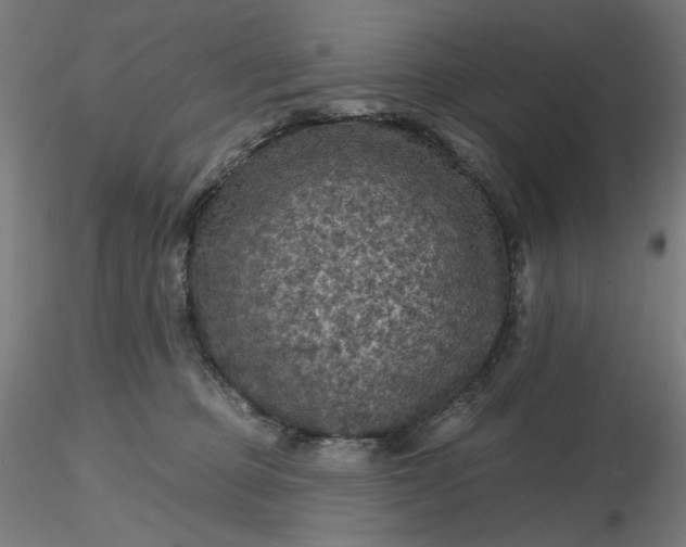 X0000116490373200912231156