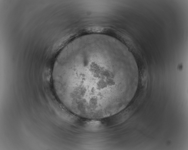 X0000116490374200912231156