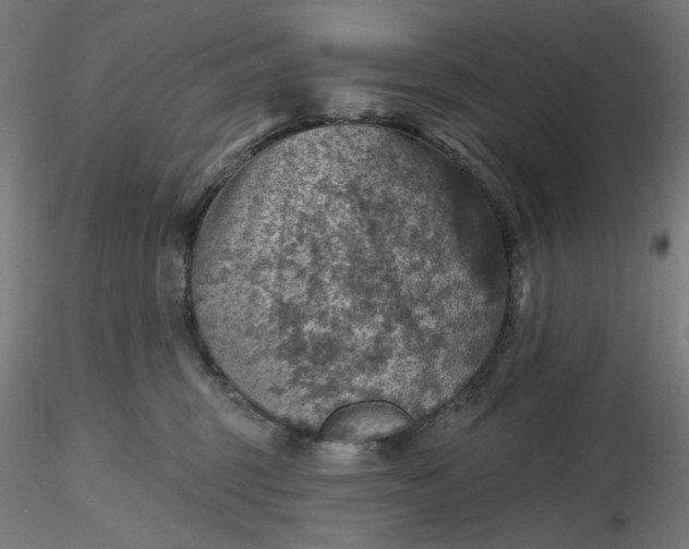 X0000116490375200912231156