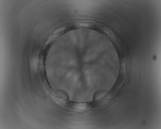 X0000116490377200912231156