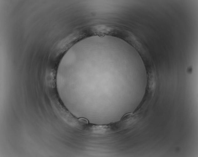 X0000116490378200912231156