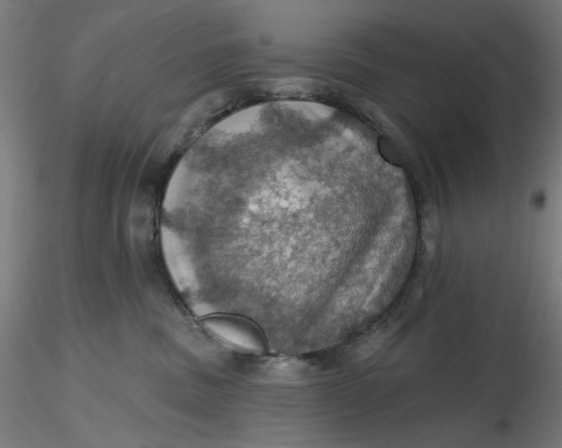 X0000116490379200912231156