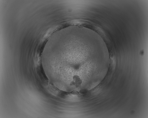 X0000116490381200912231156