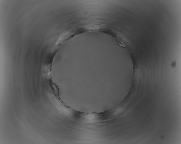 X0000116490383200912231156