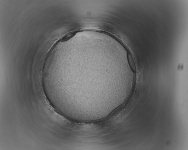 X0000116490385200912231156