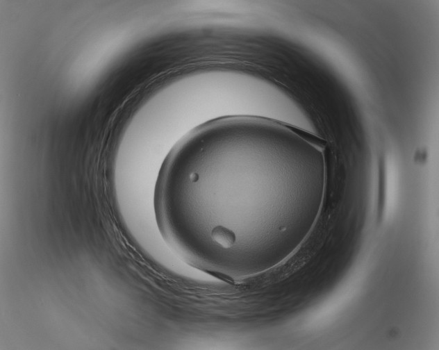 X0000116490387200912231156