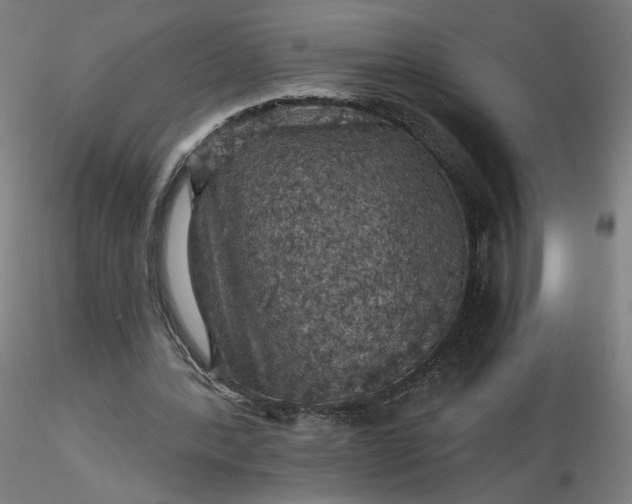 X0000116490388200912231156