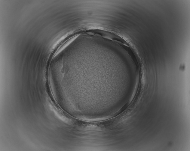 X0000116490390200912231156