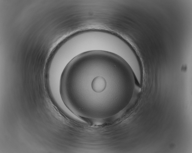 X0000116490391200912231156