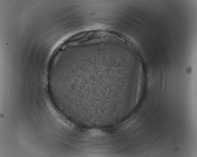 X0000116490392200912231156